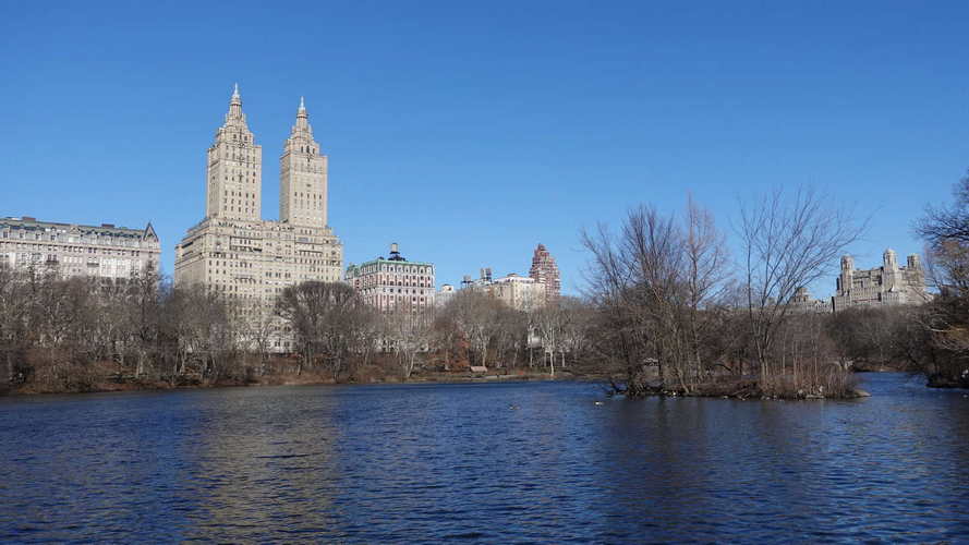 NYC_2024-02-03 10-02-29_RX_06939